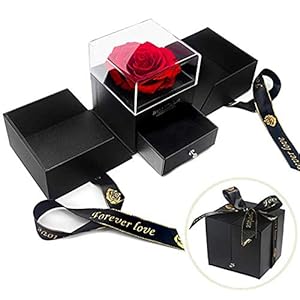 Geconserveerde Rose Box Ketting Beauty en het Beest Rose Handgemaakte Geconserveerde Rose Sieraden Geschenkdoos Nooit…