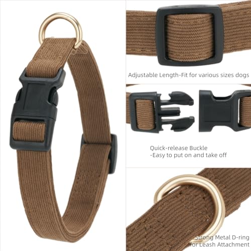 Collar para perros pequeño de pana marrón, talla S miniatura 4