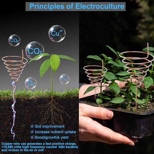 Kupferdraht, 12 Gauge/2mm 32.8ft/10m Reiner weicher Kupferdraht für Schmuckherstellung, mit Spule für DIY, Bildhauerei und Elektrokultur Gartenarbeit