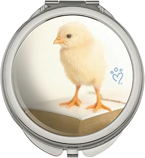 GRAPHICS & MORE Tiny Chick on Book Compact Travel Purse Handbag Makeup Mirror