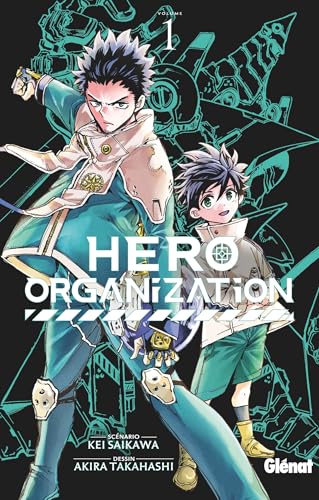 Couverture de Hero Organization