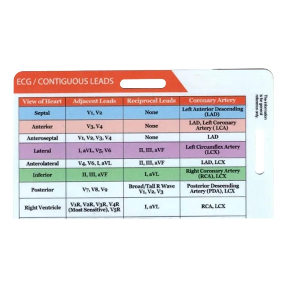 Herramienta Wuden STEMI de 12 derivaciones, referencia horizontal, identificación, huevo, derivaciones contiguas, medición de precisión, herramienta doméstica