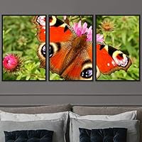 3 Piece Framed Canvas Wall Art Colorful Butterfly Insects Canvas Prints Home Artwork Decoration for Living Room,Bedroom - 16