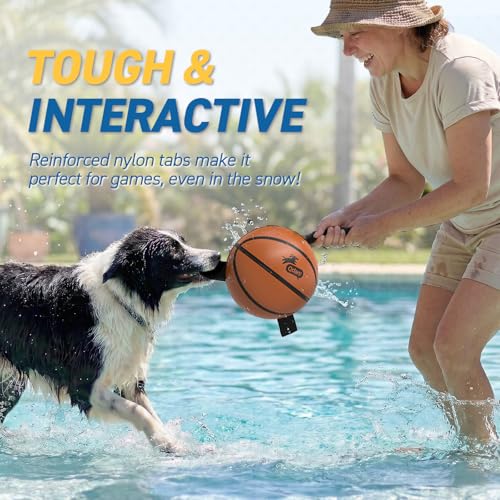 Image of QDAN Dog Basketball Toys, Dog Balls with Straps for Tug of War, 6 Inch | Dog Water Toy Pool Toys for Small Medium Dogs, <60 lbs Puppy Toys, Training Herding Balls for Outdoor, Puppy Birthday Gifts