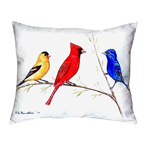 Betsy Drake NC298 Three Birds No Cord Pillow, 16" x20"