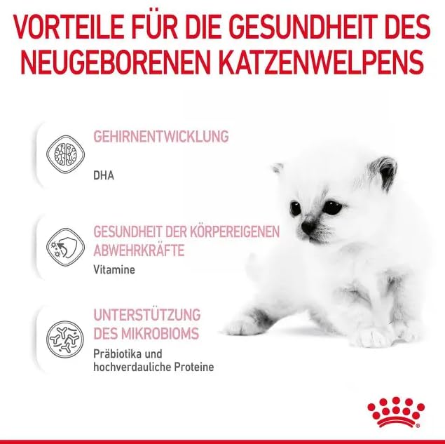 ROYAL CANIN Babycat Milk | 300 g | Milchaustausch-Alleinfuttermittel für Katzenwelpen | Von der Geburt bis zur Entwöhnung