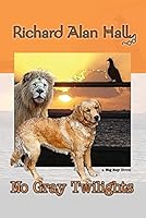 No Gray Twilights 0996529004 Book Cover