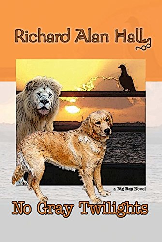 No Gray Twilights 0996529004 Book Cover
