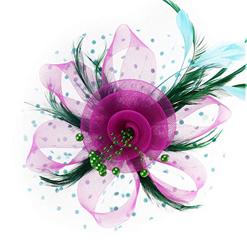 Image of DRESHOW Fascinators Hat Flower Mesh Ribbons Feathers on a Headband and a Clip Tea Party Headwear for Girls and Women