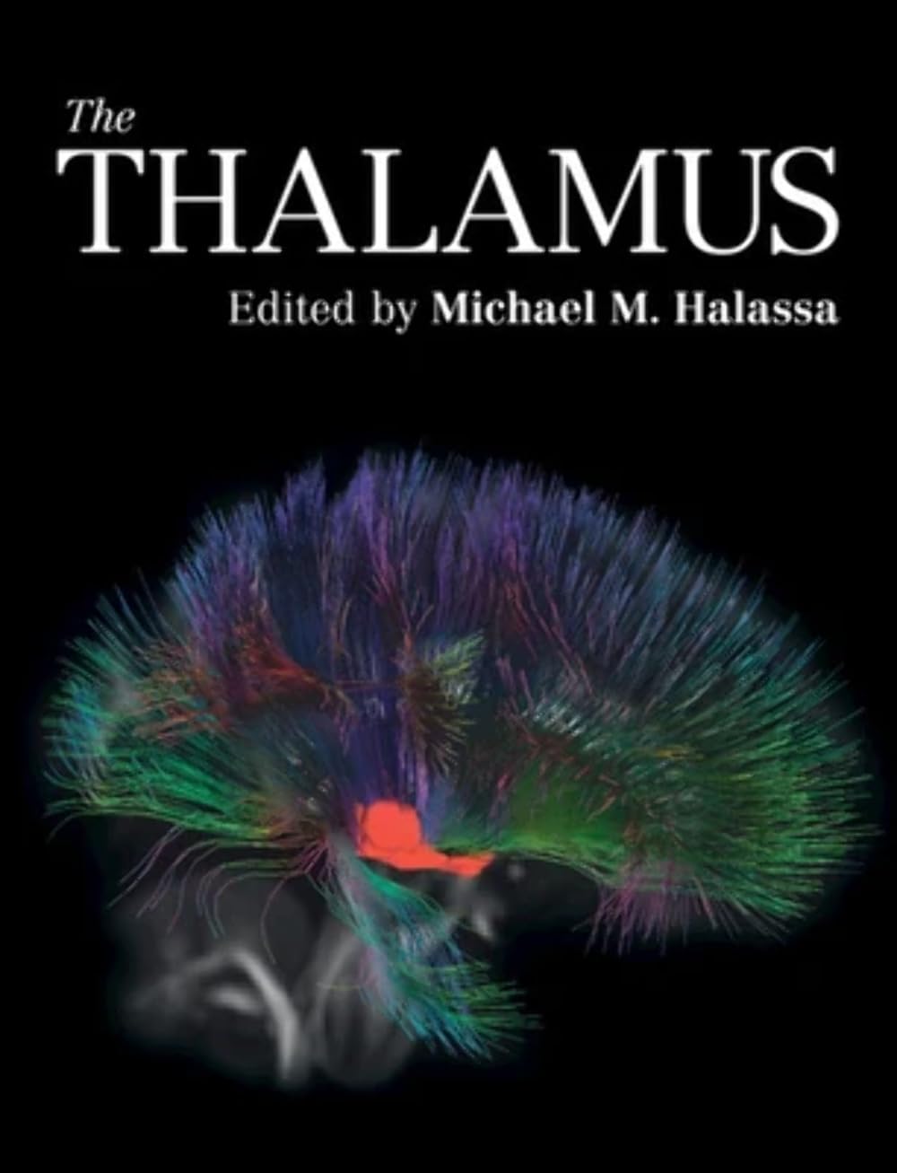 Thalamus by Michael M. Halassa (2022, Hardcover)