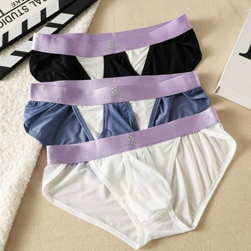 Men's Soft Panties Briefs Low Waisted Pants Underpants Briefs Bulge Pouch Mesh3