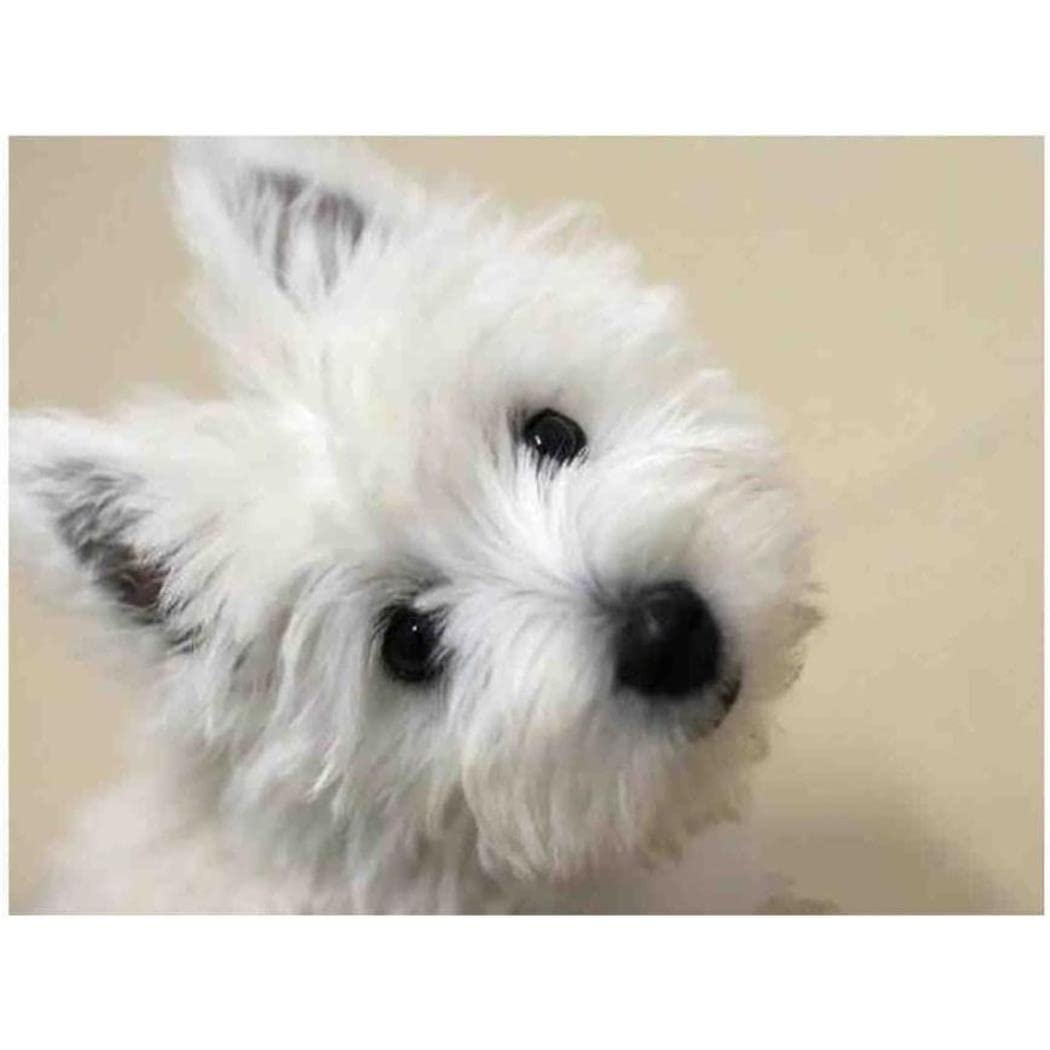 SanZez Adults Diamond Painting Kits West Highland White Terriers Dogs DIY Full by Number Art Painting Crafts Wall Decor Home Gifts 40x50cm