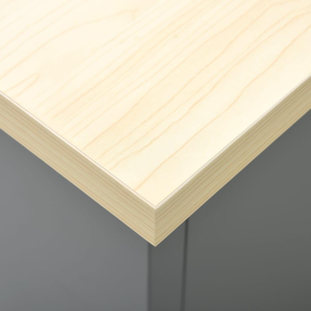 vidaXL Arbeitstisch mit 6 Schubladen 1 Schrank Höhenverstellbare Füße Werkstatt Werkbank Werktisch Packtisch Schwarz 160x60x85cm Stahl