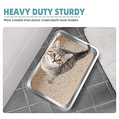 Arenero para gatos acero inoxidable 16x12x4 pulgadas miniatura 3