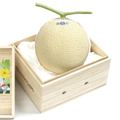  ÉNE R M/1.3Kgȏ/˔/P Mtg y~GzyFruit Farmersz