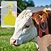 100 Pieces Blank Cattle Ear Tags with Pliers,TPU Blank Animal Identification Livestock Ear Tags for Cattle Cow Horse Pig Goat Sheep (Yellow)
