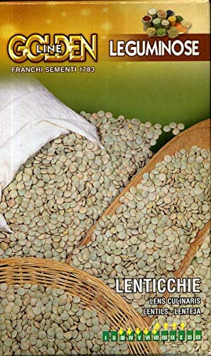 Semi lenticchie Franchi sementi 100g