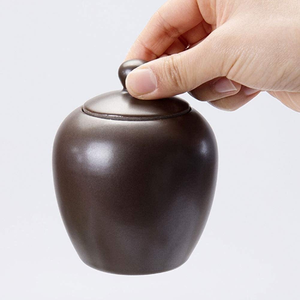 Urne funebri per ceneri per ceneri di animali domestici umani Cenere di cane/cenere di gatto Sepoltura commemorativa, ceramica a prova d'umidità Urna cremazione artigianale scatola di ceneri per ani