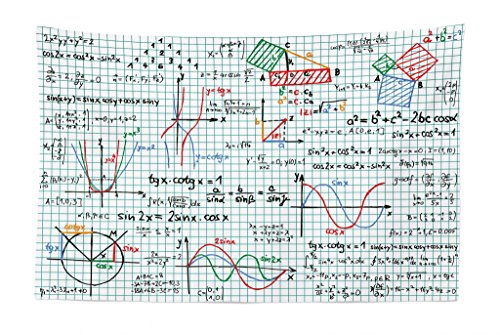 Lunarable Mathematics Room Tapestry, Algebra Studies Lesson Notebook Page Sketches Formula Design Print, Fabric Wall Hanging Decor for Bedroom Living Room Dorm, 45