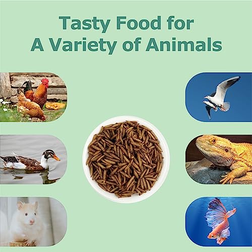 Image of WORMSKING 10LB Dried Black Soldier Fly Larvae, More Calcium Than Dried Mealworms, High Protein Chicken Feed, Poultry Treat