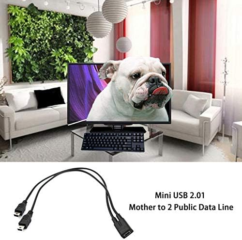 CloverGorge 1 to 2 Y Splitter Cable USB 2.0 Mini 5-Pin Female to Double 2 Male Converter