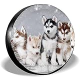 Breite Kompatibilität, passend für die meisten Sitze. Wie zum Beispiel: Autos, SUVs, LKWs, Lieferwagen usw.