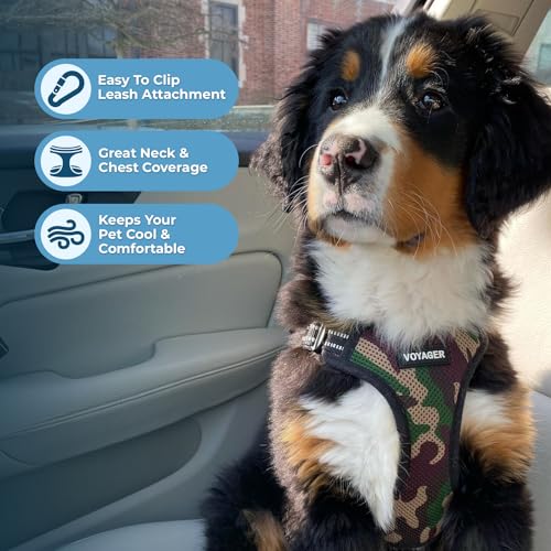 Image of Best Pet Supplies Voyager Adjustable Step-in Flex Breathable Mesh Dog Harness for Small Medium Large Dogs Leash Set (Army Base), XL