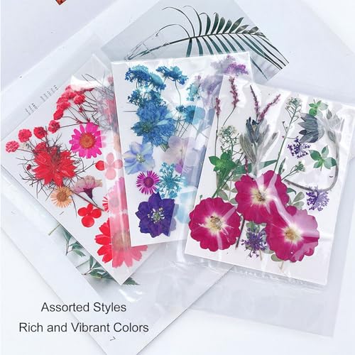 5 bolsas de flores prensadas secas para manualidades miniatura 2