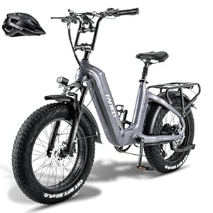 Fafrees F20 Master Elektrische fiets, 20 x 4,0 inch, hydraulische rem, 22,5 Ah, 48 V, uitneembare accu, frame van koolstofvezel, pedelec dames, bereik 100-160 km