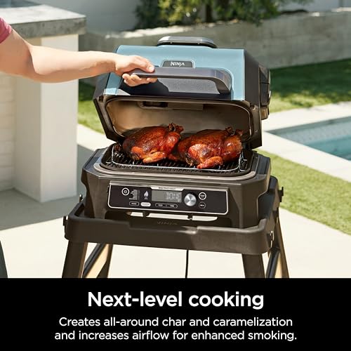 Image of Ninja Woodfire XL Roast & Smoke Rack, for OG800 /OG900, Steel, Silver