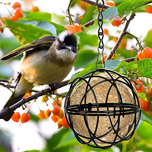 8er Meißenknödelhalter Vogelfutterstation,Metall Vogelfutterspender,Aufhängen Vogelfutterstation mit Haken,Futterspender Vögel,Aufhänger für Vogelfutter,Futterspender für Meisenknödel