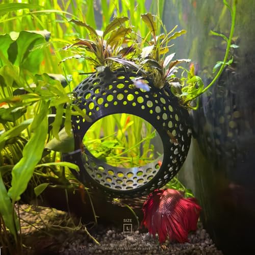 Image of The Original Cave Lounge - Betta Fish Tank Accessories, Swim-Through Hideout Ornament for Small Fish and Shrimp, Aquarium Decoration with Plant Holder - Authentic Design (Clear White, Large)