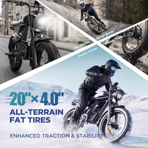 flytor 1000W Fat Tire Ebike