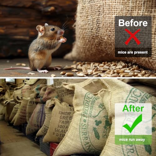 OFFCUP Mäuse Vertreiben mit Pfefferminzöl, 5 Stück Rattenabwehr, Giftfreie Mäuse Abwehrmittel zum Abwehrmittel Mäuse Hält Ratten Gegen Nagetiere Fern für Haus & Garten In Einzelnen Beuteln