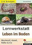 Kohl Verlag