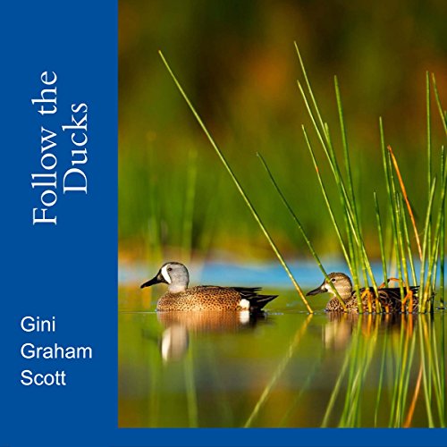 Immerse Yourself In Into A Transformative Full Audiobook On A Rainy Day.