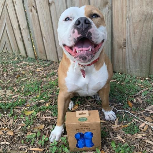 Image of Best Pet Supplies Dog Poop Bags for Waste Refuse Cleanup, Doggy Roll Replacements for Outdoor Puppy Walking and Travel, Leak Proof and Tear Resistant, Thick Plastic - Blue (Unscented), 240 Bags