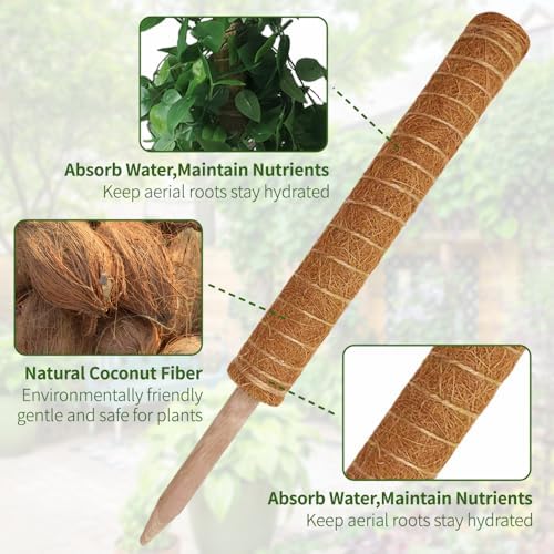 Moss Pole Monstera Plant Support, 5 Pack - 1