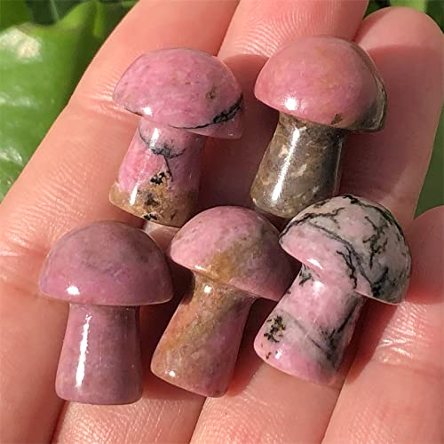 Anlingem 20mm 5pcs Rhodonite Crystal Mushroom skul Sculpture Hand Carved Gemstone Statue Figurine Collectible Healing Reiki (Rhodonite Mushroom) AL-RM5