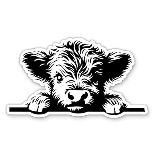 Highland Cow Peeking Sticker - for Water Bottle Phone Car ...