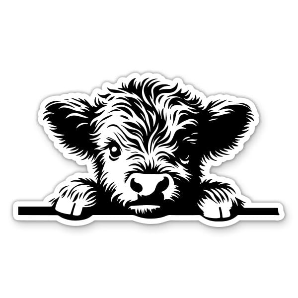 Image of Highland Cow Peeking Sticker - Cute Cow Decal, 3 in | For Water Bottle, Phone, Car, Tumbler, Laptop, Waterproof Vinyl