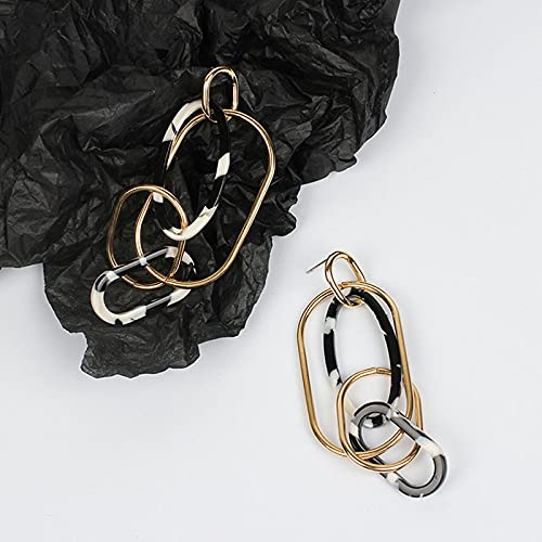 Acrylic Leopard Print Earrings Long Pendant Geometric Resin Oval Earrings Fashion Exaggerated Leopard Dangle Earrings for Women2