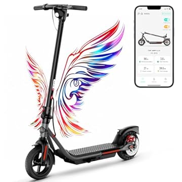 electric scooter rear wheel drive