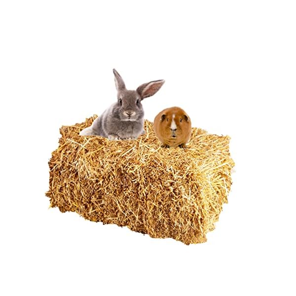 Palatina Werkstatt ®, Beste Qualitäts Strohballen direkt vom Bauern, frisch, aktuelle Ernte, naturbelassen als Einstreu für Kaninchen Meerschweinchen Hasen Futter Deko