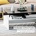 HOMCOM Modern Coffee Table, 2-Tier Rectangular Center Table with Storage Shelves for Living Room, Black/White