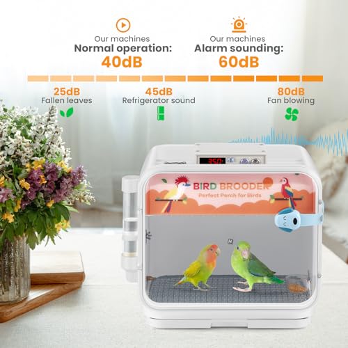 Image of Bird brooder Bird Incubator