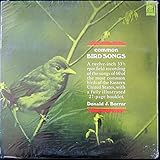 Common Bird Songs