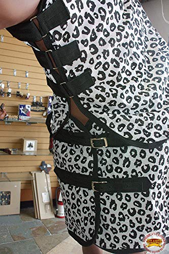 Image of HILASON Horse Fly Sheet UV Protect Breathable Mesh Bug Mosquito Spring | Summer Horse Rug | Fly Rug