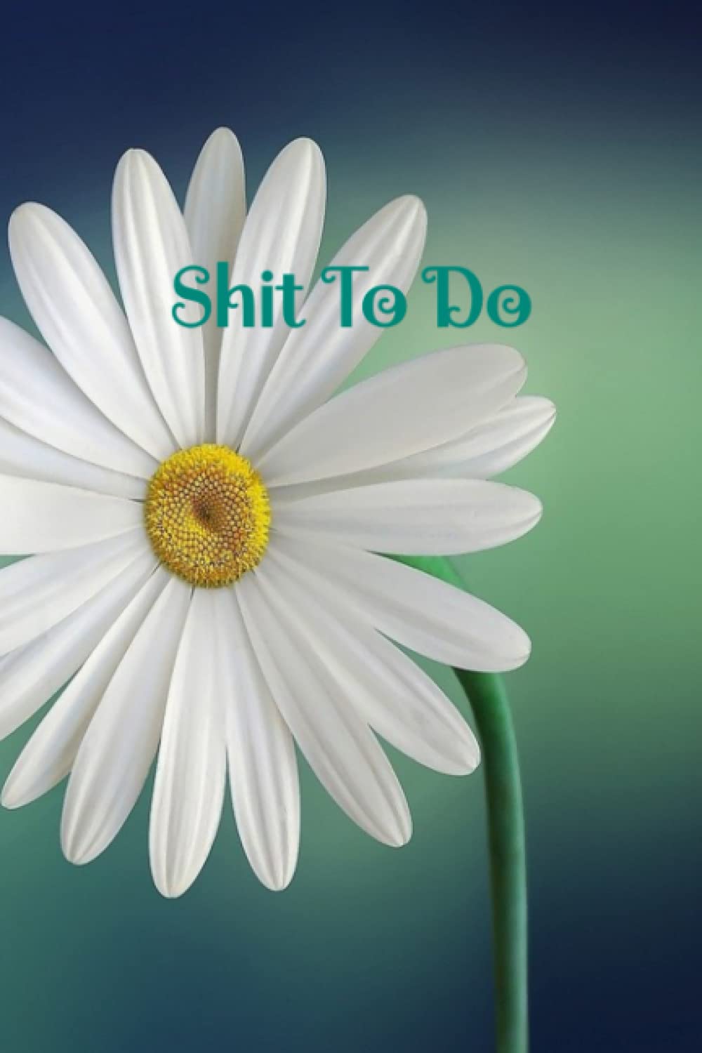 Shit To Do: notebook