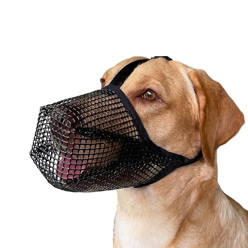 Scalingscal Netzmaulkorb für große Hunde (L)